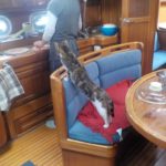 Gib es schon bald was zum Fressen